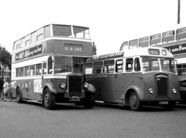 Buses01.jpg