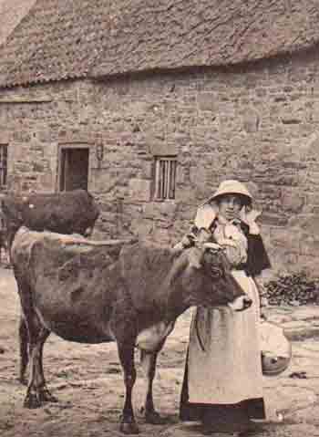 File:Milkmaid1.jpg