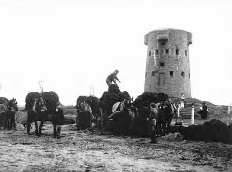 File:LeHocqTowerVraic1920.jpg