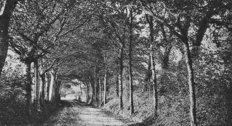File:E18LaHogue(Hougue)Lane1903.jpg