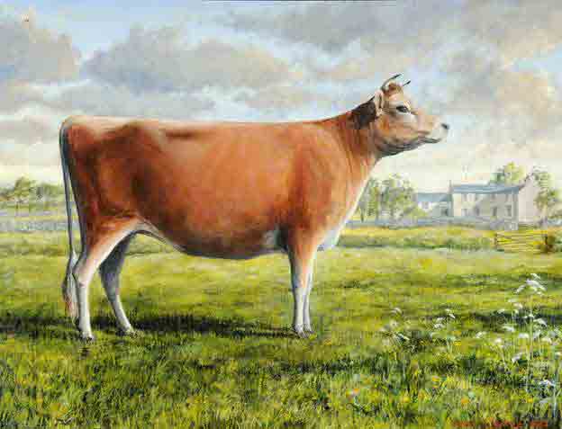 File:JerseyCow1987.jpg