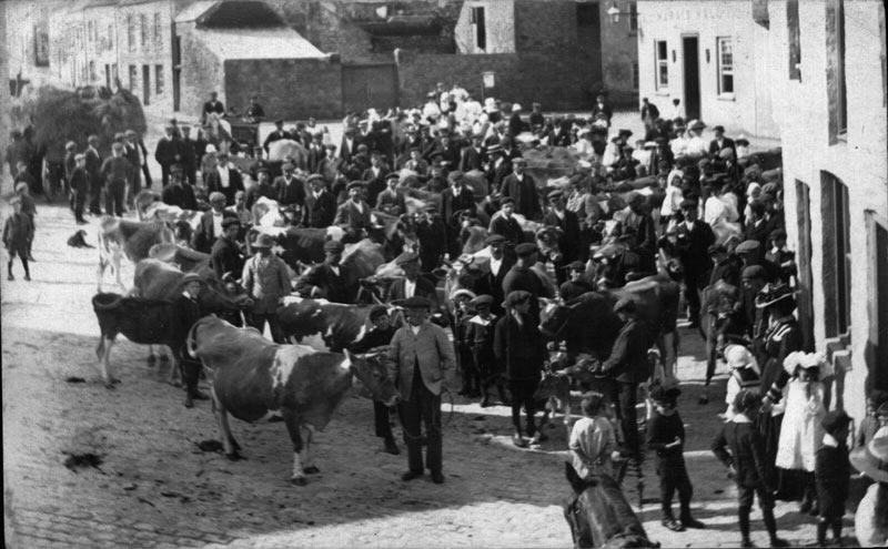 File:F19AlderneyCattleMarket1900s.jpg