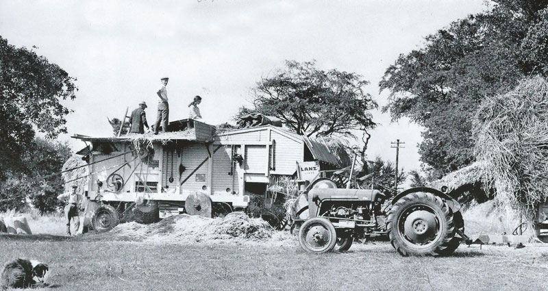 File:F20Threshing1970PiponFarm.jpg