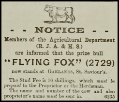 File:S24Chronique1900BullOaklands.png