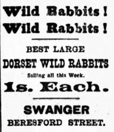 File:BNA21Ad1899Rabbits.jpg