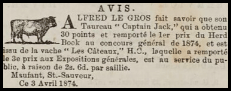 Alfred Le Gros, of Maufant, St Saviour, advertised the services of his bull in Chronique de Jersey in 1874
