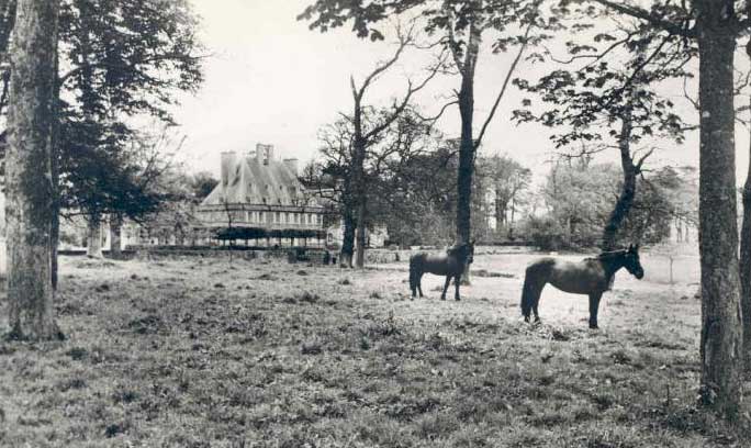 File:TrinityManorHorses.jpg