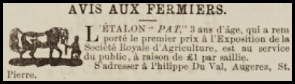 Philippe Duval, of Augerez, St Peter, advertised the services of his stallion Pat in Chronique de Jersey in 1880