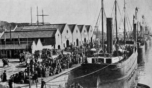 Potato boats in 1906