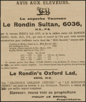 Philip Le Brocq owned the Rondin herd in 1924