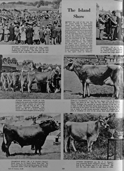 File:GM20Sport04061948CattleShow.jpg