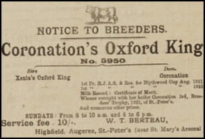 1924 advert for a Berteau bull