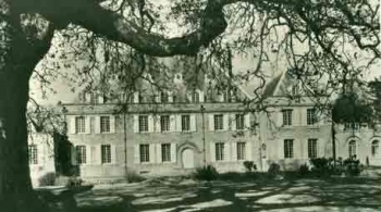 The manor's Luscombe Oak