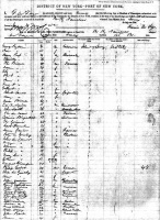 This ship's manifest for a voyage from Jersey to New York in 1852 has John and Jane Picot's names at the bottom
