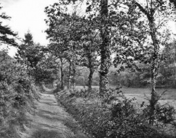 St Lawrence Valley, which became known as Waterworks Valley when the island's first public water supply reservoirs were built there