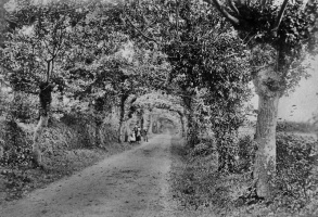 Albumen print of St John lane
