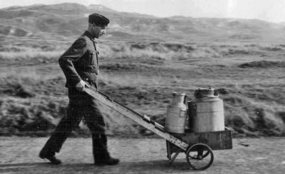 The daily milk collection for WN Dune