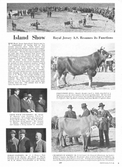 Cattle shows resume in 1946, a year after the Liberation as reported in the Illustrated Sporting and Dramatic News