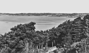 An unusual view from Westmount