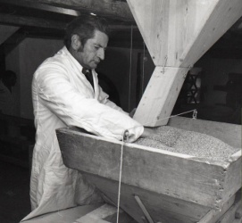 Flour production in 1981- Jersey Evening Post picture