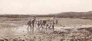 A fish cart on the beach