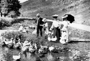 Feeding the ducks in 1920