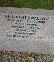 Swallow - St John’s Church cemetery