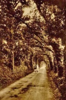 A lane in the parish in the 1920s