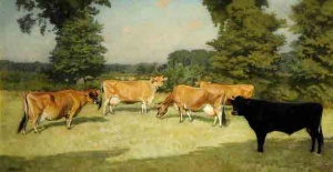 'Longueville Brownie V', 'Carol', 'Alfriston Gem Lottie' and 'Jolly Peter'; George Gascoyne