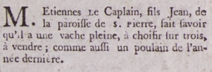 Etienne Le Caplain, son of Jean, of St Peter, offered the choice of three cows for sale in Gazette de l'Ile de Jersey in 1799