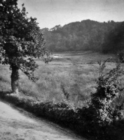 Half of a Victorian stereoview of the valley
