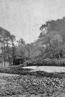 A reservoir in the valley, photographed by Henry Mullins in the 1860s