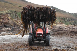 Collecting vraic, 2022 style