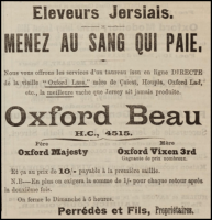 1910 advert in the Chronique de Jersey