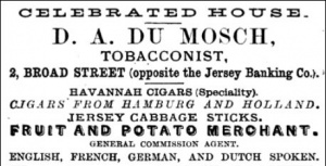 1881 advert