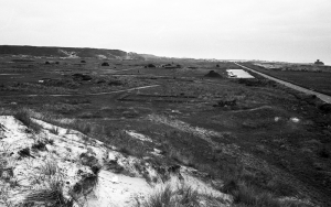 Blanches Banques in the 1990s