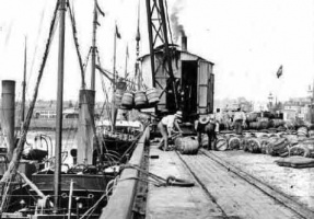 Loading potato barrels