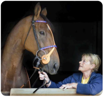 Equestrian trainer Joan Leslie Le Brocq, nee Howard