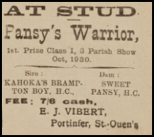 1930 advert in Chronique de Jersey