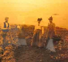 A Victorian lantern slide of low-water fishing in Jersey indicates that this has been a popular activity for a long time