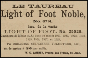 William George Laisney advertised his stud bull in this 1930 advert in Chronique de Jersey. William's ancestors appear not to be connected to the Laisney family tree shown above