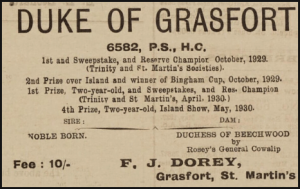 F J Dorey was farming at Grasfort, St Martin in 1931 and advertised his prize bull in the Chronique de Jersey