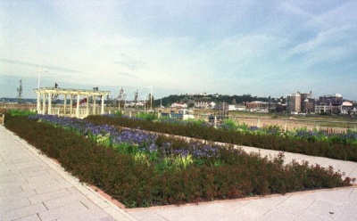 Elizabeth Marina car park gardens in 2000