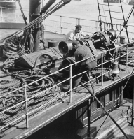 Picture by Edwin Dale