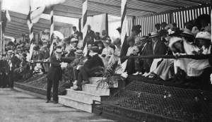 Some of the dignitaries who gathered at Springfield