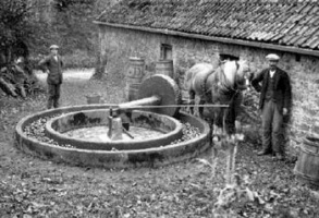 An apple crusher on a Trinity farm