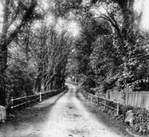A Rozel lane: 1880s photograph by Philip Godfray