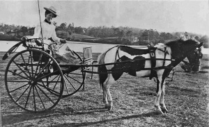 Alice Maud Le Brocq, daughter of Charles and Esther Marie, was born in Brisbane in 1872 and died there, not having married, at the age of 65.