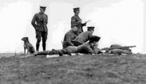 Training at Grouville Common, picture by Edwin Dale