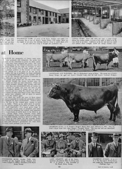 ... and read the Illustrated Sporting and Dramatic News report